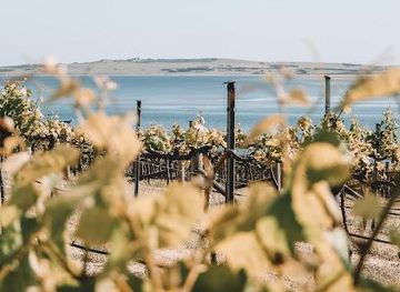 australia/kangaroo-island/attraction/bay-of-shoals-wines