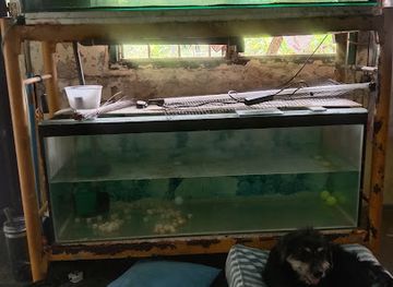 malaysia/negeri-sembilan/attraction/tok-botok-tomb