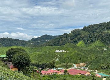 malaysia/kelantan/attraction/green-view-garden-cameron-highlands