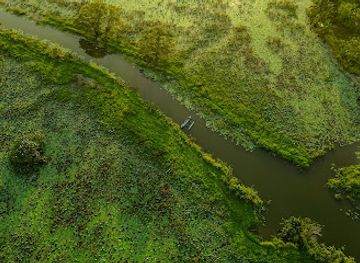 sri-lanka/udawalawe-national-park/attraction/cinnmon-j-bird-researching-and-boat-ride