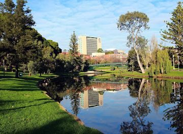australia/adelaide/north-adelaide/attraction/angas-gardens