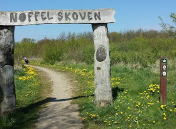 denmark/sonderborg/attraction/noffelskoven-med-traskulpturer