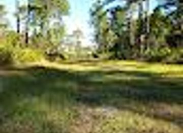 florida/st-augustine-beach/attraction/moses-creek-west-trailhead