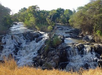 ethiopia/gambela-region/attraction/gambella-national-park