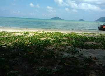 vietnam/con-dao-islands/attraction/so-lo-voi