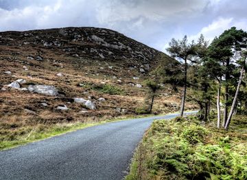 ireland/wicklow-mountains/attraction/carrigshouk-mountain