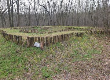 hungary/debrecen/attraction/szent-janos-templomrom-nagycsere