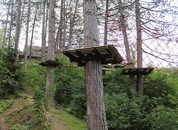 slovakia/mala-fatra-national-park/attraction/dino-adventure-rope-park