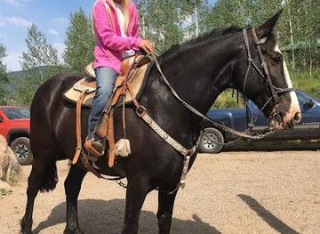colorado/breckenridge/attraction/vail-stables