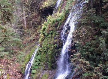 washington/the-blue-mountains/attraction/boulder-river-trail