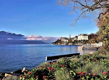switzerland/montreux/attraction/statue-li-ning
