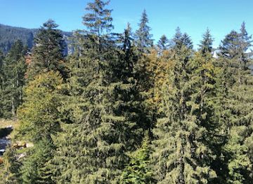 germany/zugspitze/attraction/berg-brunnen-am-eibsee-alm