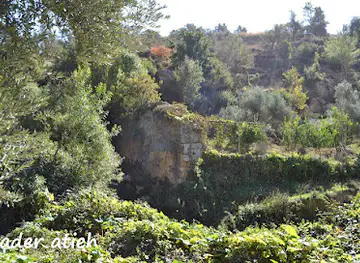 وادي الفاغوشيه