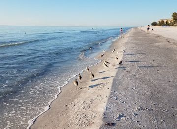 florida/sun-coast/attraction/tiki-gardens-indian-shores-beach-access