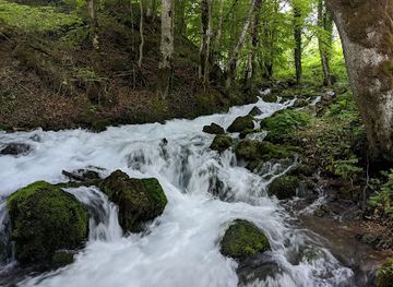 montenegro/tara-river-valley/attraction/tara-springs-park