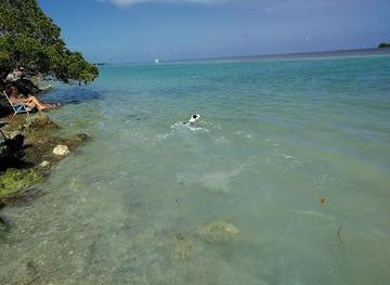 florida/key-largo/attraction/indian-key-state-historic-site