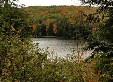 vermont/mount-mansfield/attraction/milton-town-forest