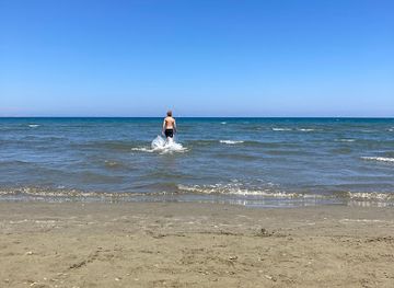 cyprus/tylliria-region/attraction/camel-park