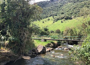 ecuador/papallacta-hot-springs/attraction/sendero-de-la-isla-island-trail-rancho-del-canon