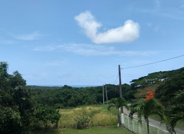 puerto-rico/vieques/attraction/bieque-eco-trips