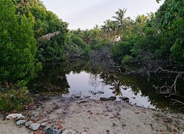 maldives/thinadhoo-island/attraction/hoadedhoo-nature-park