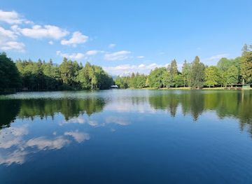 slovenia/posavje/attraction/brdo-castle