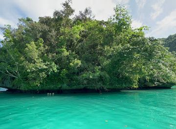 palau/ngemelis/attraction/milky-way