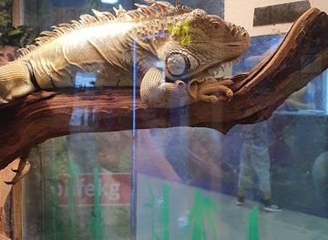 kyrgyzstan/tokmok/attraction/mini-zoopark-zhivaya-ekzotika-ekspozitsiya-zateryannyy-mir