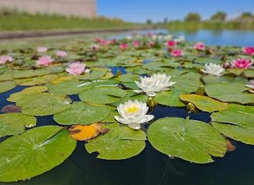argentina/mendoza/attraction/bodega-alpamanta