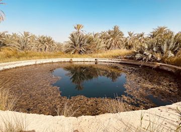 egypt/siwa-oasis/attraction/a-spring