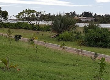 mauritius/pamplemousses-botanical-garden/attraction/rivulet-terre-rouge-estuary-bird-sanctuary