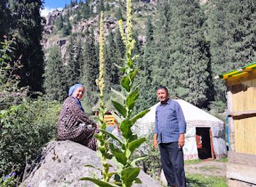 uzbekistan/bukhara-region/attraction/buhoro-viloyat