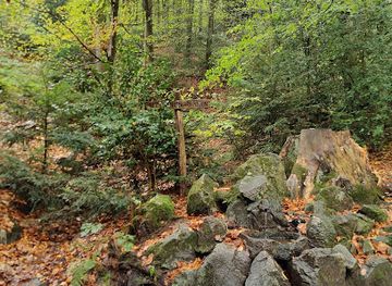 germany/freiburg/attraction/stefanienbrunnen