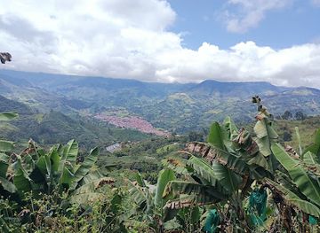 colombia/andean-region/attraction/agencia-cueva-del-esplendor