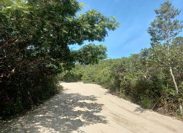 brazil/jericoacoara/attraction/lagoa-preta-escura