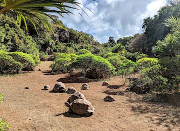 mauritius/rodrigues/attraction/francois-leguat-tortoise-parc