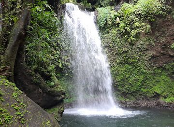 dominica/soufriere/attraction/salton-waterfalls