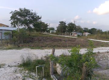 belize/orange-walk-town/attraction/treeland-park