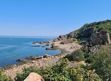 sweden/halland/attraction/hovs-hallar-nature-reserve