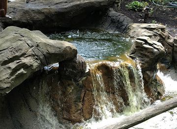 tennessee/great-smoky-mountains-national-park/attraction/ripley-s-davy-crockett-mini-golf