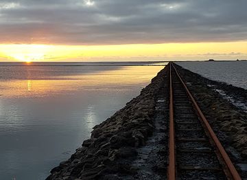 germany/north-frisia/attraction/loren-causeway-to-nordstrandischmoor