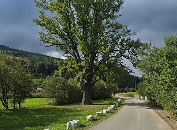 slovakia/kysuce/attraction/lipa