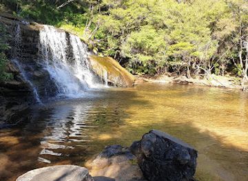 australia/blue-mountains-national-park/attraction/wentworth-pass-loop-walking-track