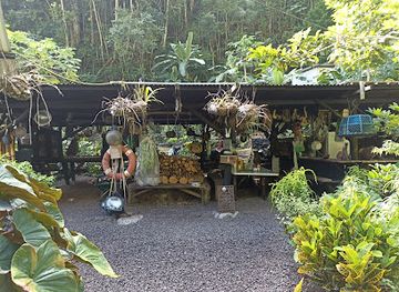 french-polynesia/raiatea/attraction/vallee-de-tipaerui