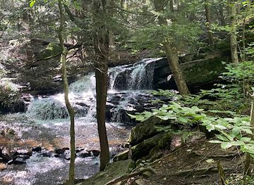 pennsylvania/allegheny-national-forest/attraction/logan-falls-parking