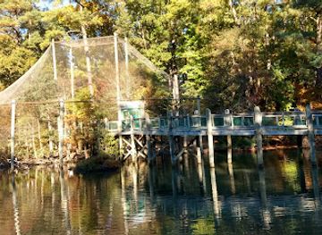 virginia/newport-news/attraction/virginia-living-museum