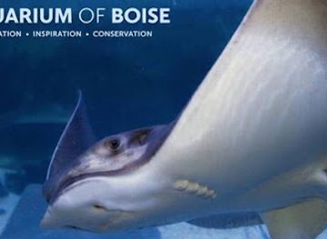 idaho/boise/north-end/attraction/aquarium-of-boise