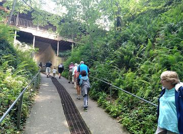 Bluespring Caverns Park