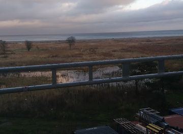 denmark/koge/attraction/dyreskueplads