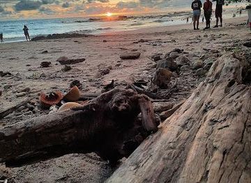 costa-rica/tamarindo/attraction/playa-pelada